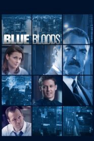 Blue Bloods: Season 6